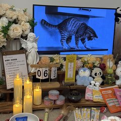 宠物家长客户见证