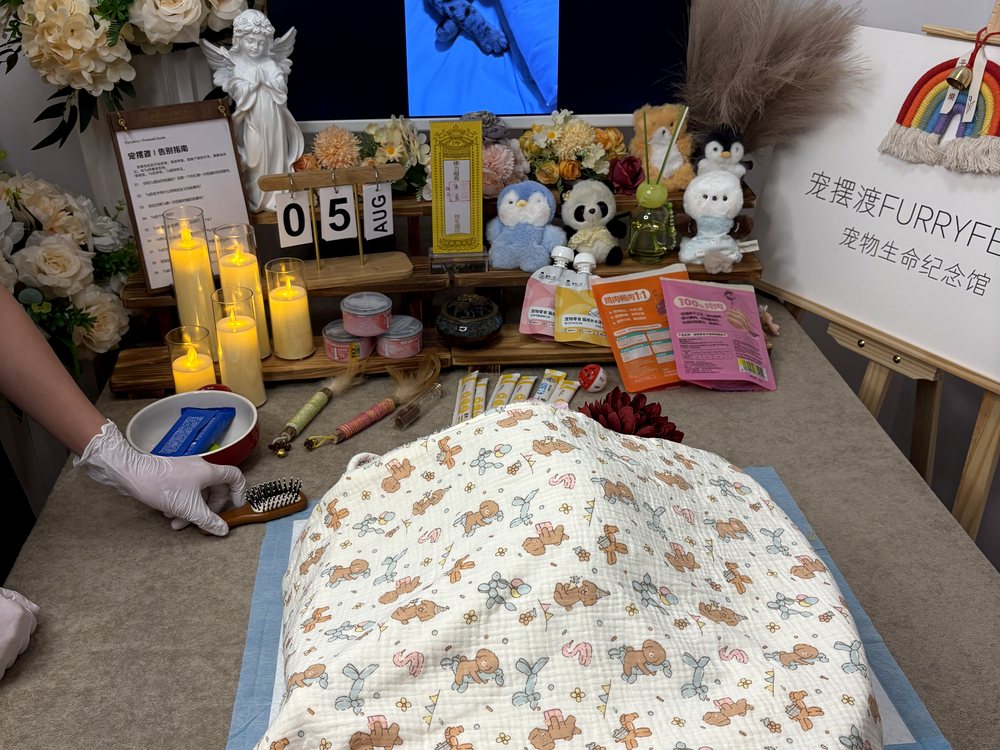 宠物告别仪式现场布置